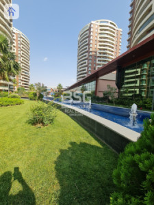 3 Bedroom Apartment image 11