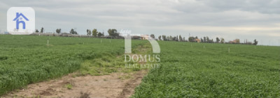 Large Agricultural Plot for Sale — 1