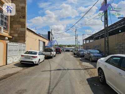خانوو هه‌يكه‌ل بۆ فرۆشتن image 2