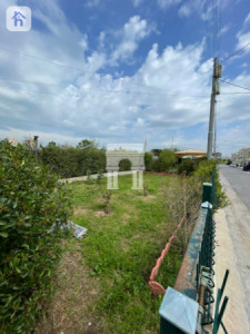 خانووی ڕوکن وێنە 19