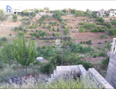 Farm (2500m²) Image 9