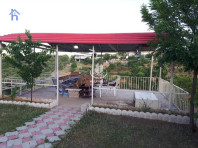 Farm (2500m²) Image 3