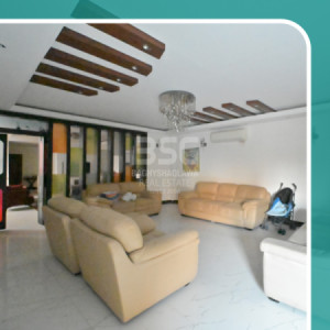 خانووی ڕاخراو بۆ فرۆشتن image 2