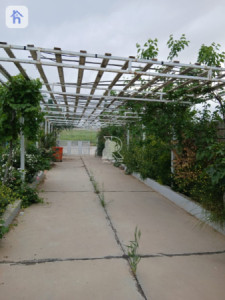 مزرعة حديث صورة 3