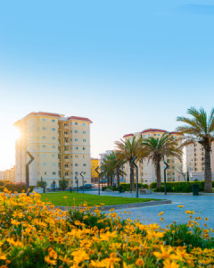 عروض خاصة image 2