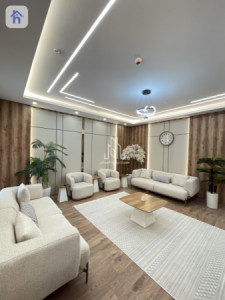 شقة VIP صورة 4