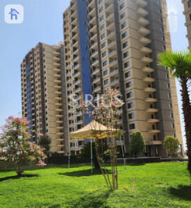 Cozy Apartment in Lalav Sun Towers image 5