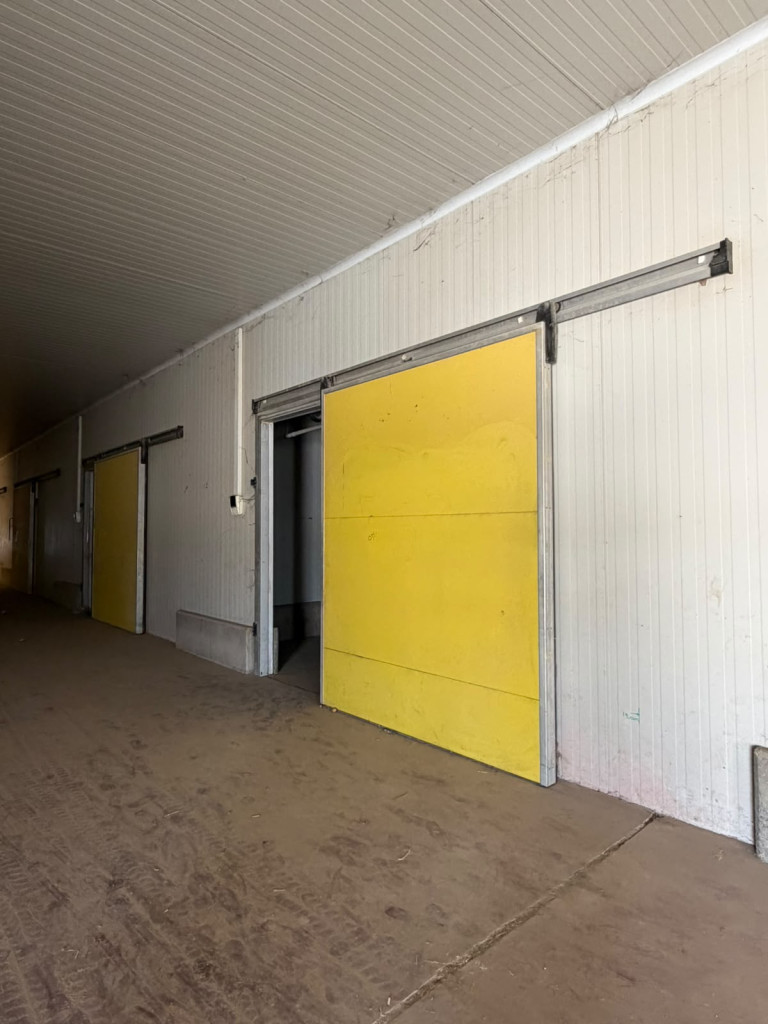 Large Warehouse Available for Purchase