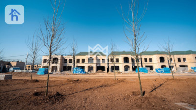 Luxury House image 1