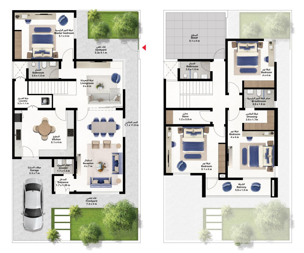 type: 239m² Kat Planı