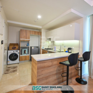Studio Apartment image 4