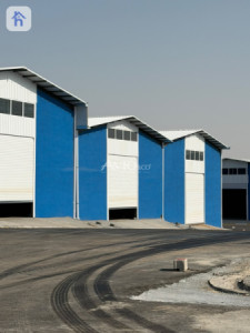 کۆگای نوێ image 1