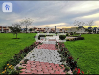 خانوویەکی فراوان لە گوندی ئیتاڵی 2 وێنە 3