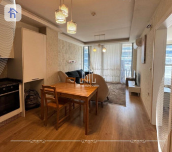 Modern Furnished Apartment in Erbil Image 4
