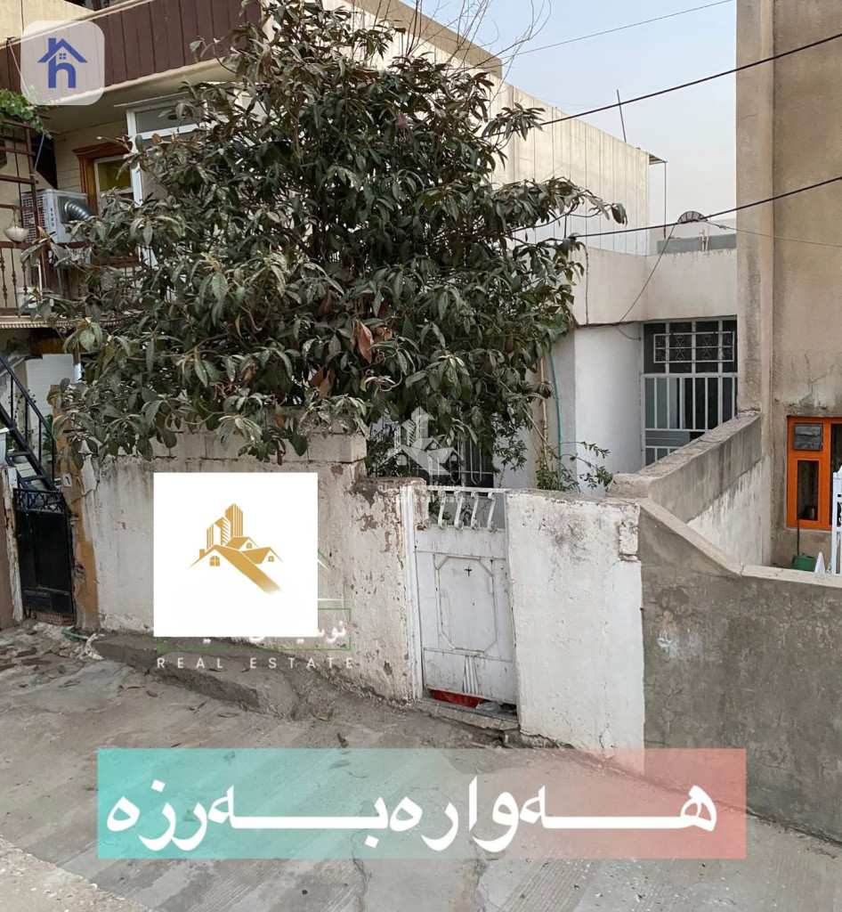 خانووی یەک نهۆمی