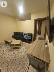Furnished Apartment For Rent image 3