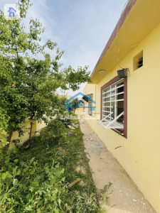 خانوویەکی فراوان لە شاری ئۆزال وێنە 4