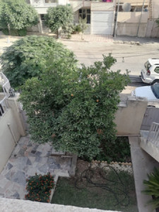 Two Floor House image 7