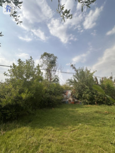 خانووی VIP image 3