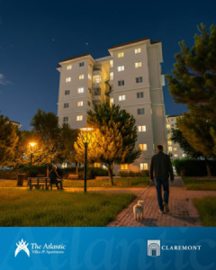 Cozy Apartment with Special Offers Resim 10