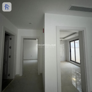 Modern House image 5