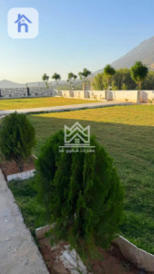 خانووی VIP وێنە 7