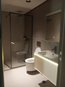 VIP Apartment image 8