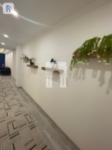 Apartment in Cash image 4