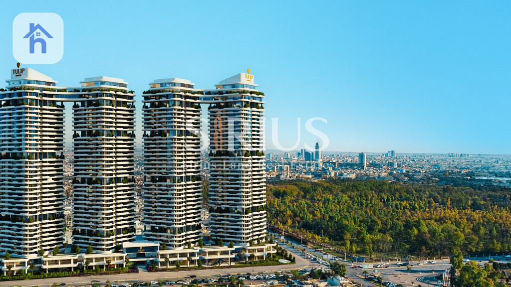 شوقەیەکی نایاب لە هەولێر، تولیپ تاوەرز