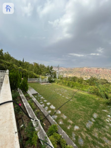 VIP Farm image 10