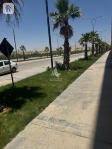 Office In Sulaymanya for Sale Image 3
