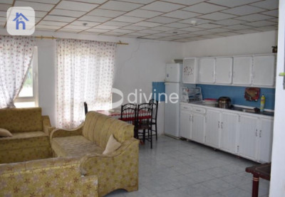 Investment Opportunity with Swimming Pools Image 10
