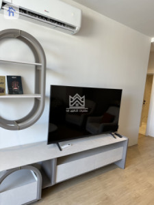 Furnished Apartment For Rent Image 5