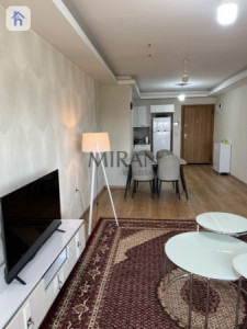 Elegant 1-bedroom apartment for rent image 2