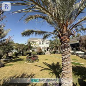 مزرعة للبيع بمساحة 3000 م² صورة 5