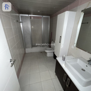 شوقەیەکی فراوان لە هەولێر وێنە 13