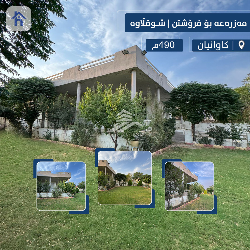 کێڵگەیەکی ئارام لە شاقلاوا كاوانیان