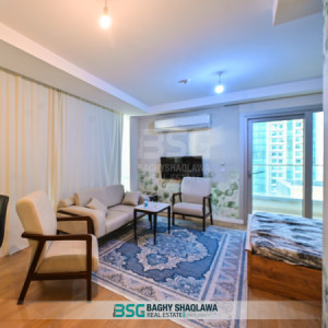 Studio Apartment image 2