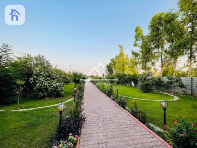 باخ لەگەل خانوو وێنە 6