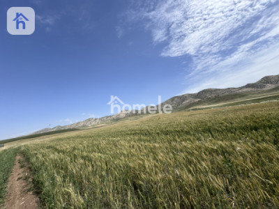 زەوی کشتوکاڵی (150000م²) image 2